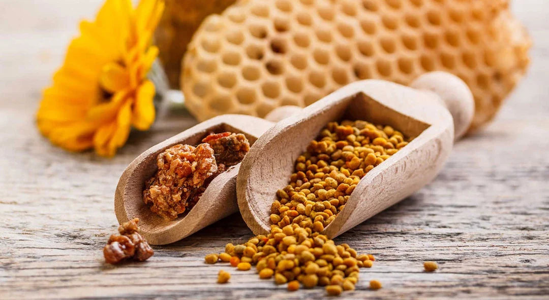 Was ist Propolis? Wofür ist gut?