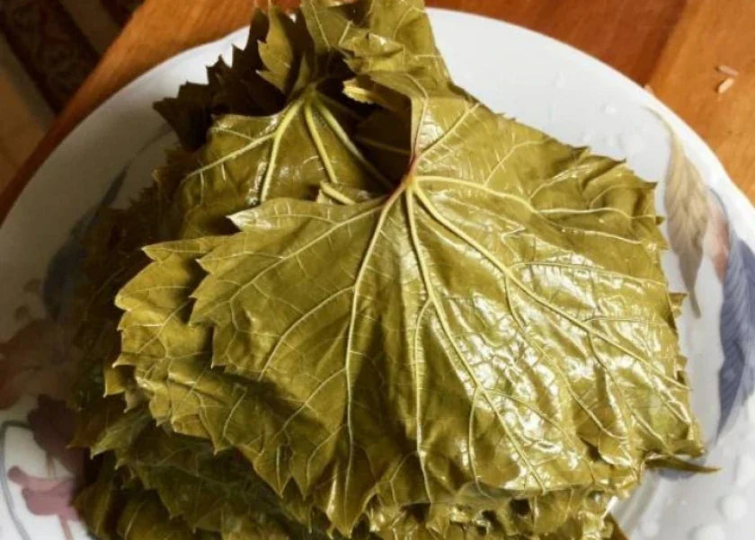 Was ist ein Weinblatt? Wo wächst es?