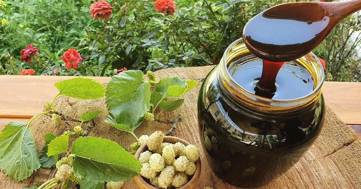 Was ist Maulbeere? Warum ist es so beliebt?