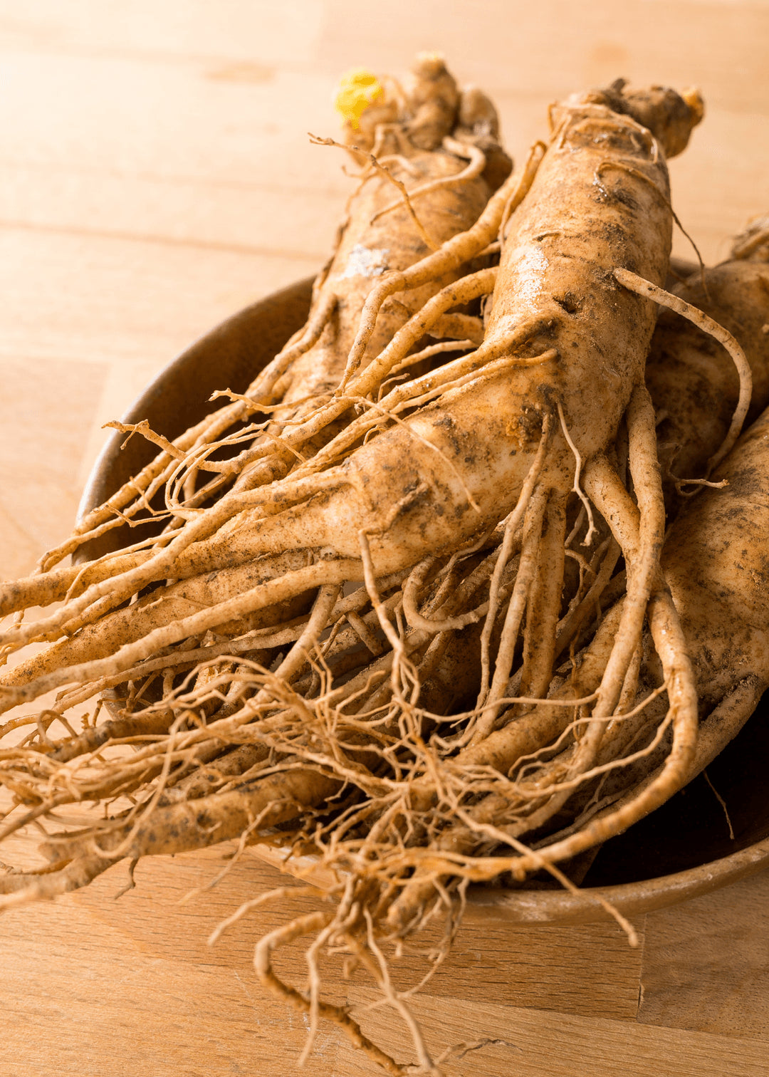 Ginseng Gelée Royale Paste 240g