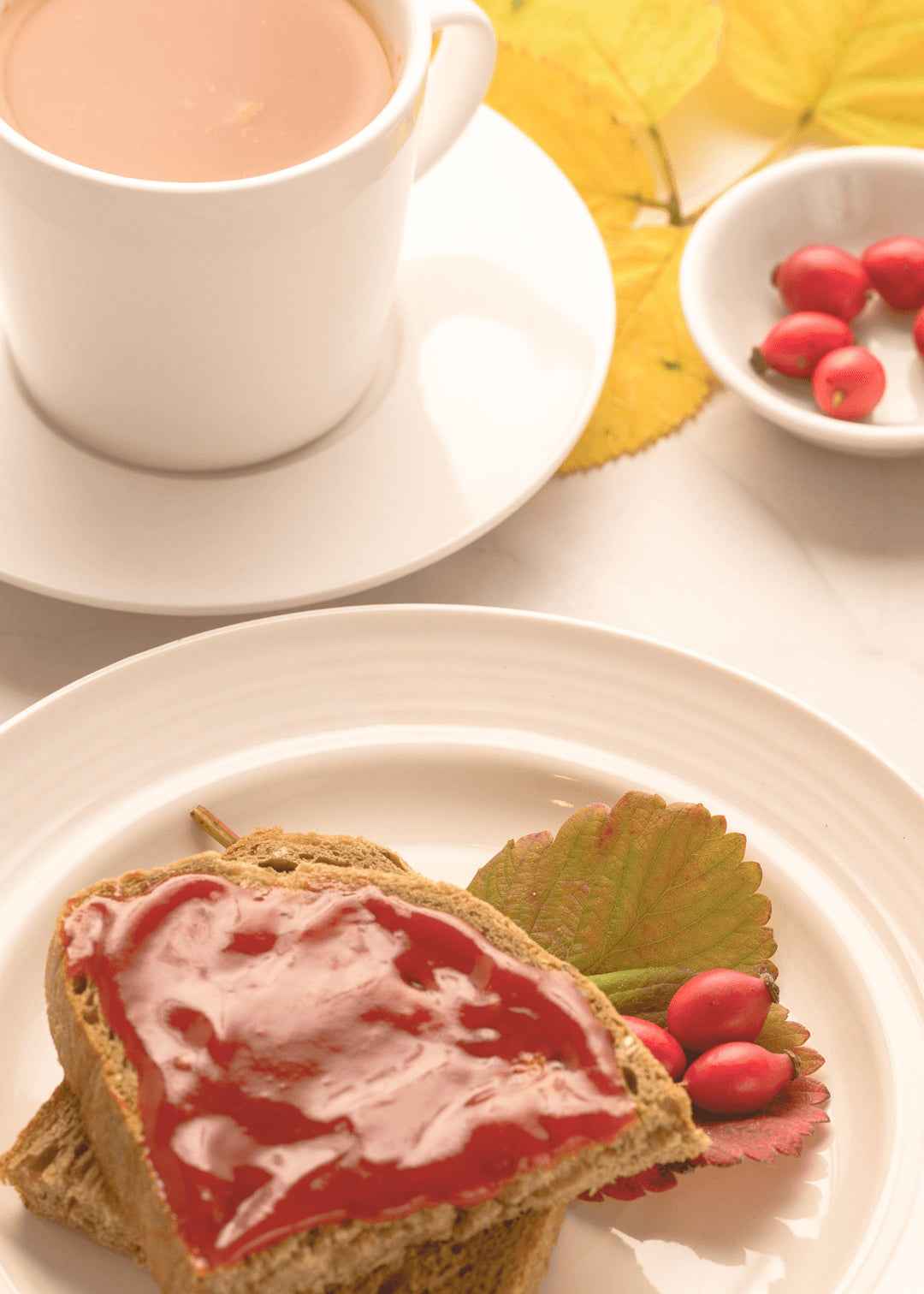 Hagebutten Konfitüre