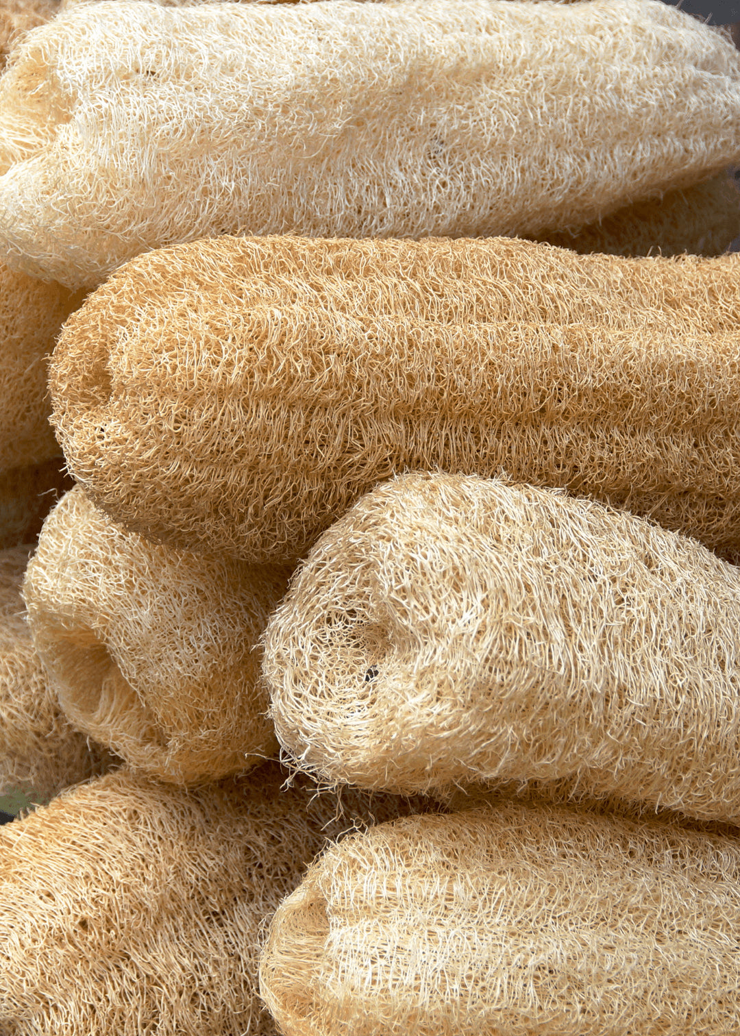 Natur Luffa Schwamm (Kabak Lifi)