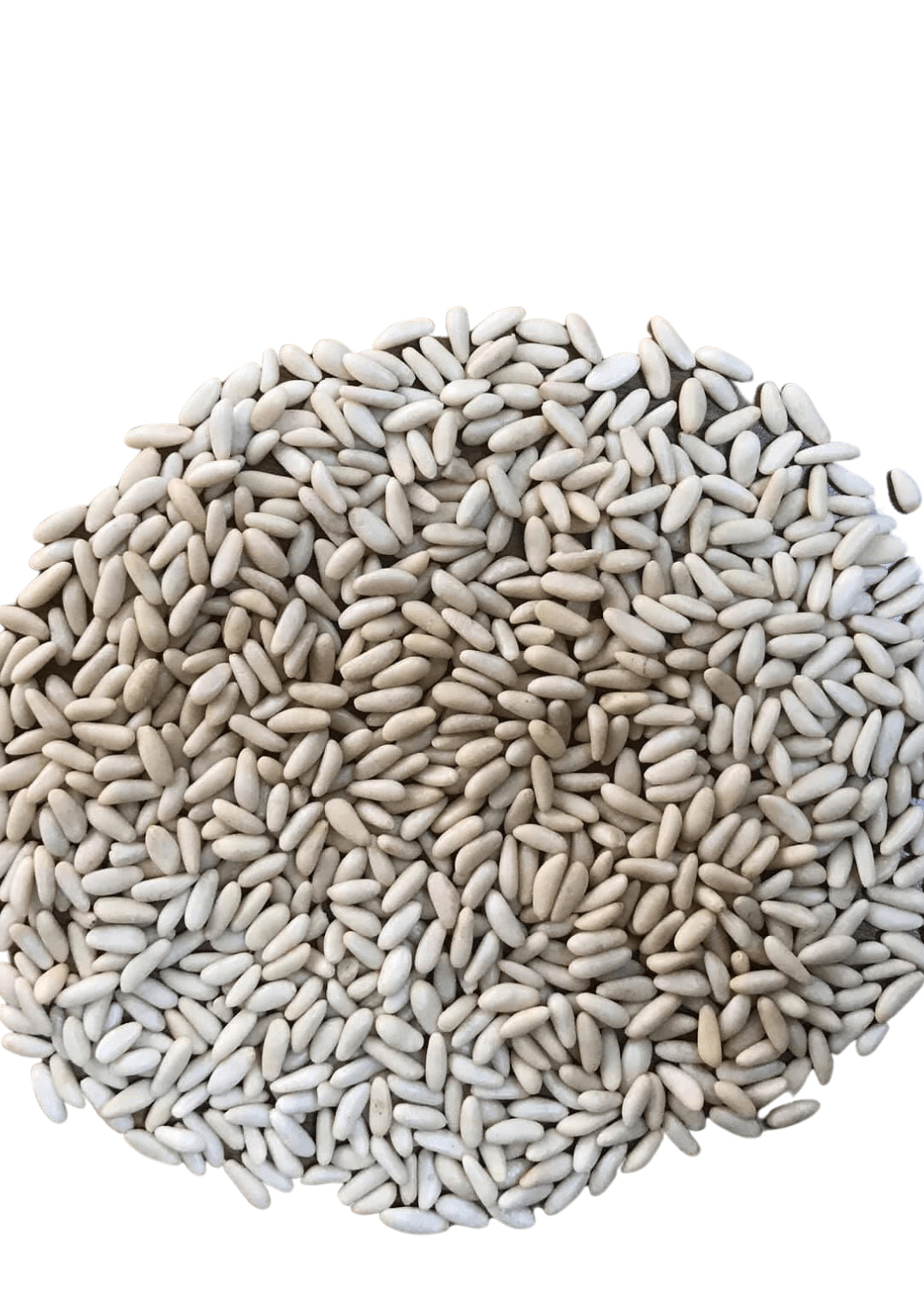 Pinienkerne (Dolmalık ve Pilavlık Çam Fıstığı) 100g