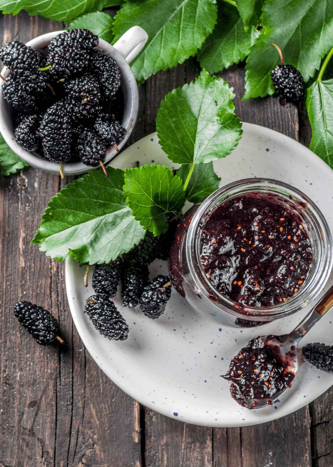 Schwarze Maulbeer Konfitüre
