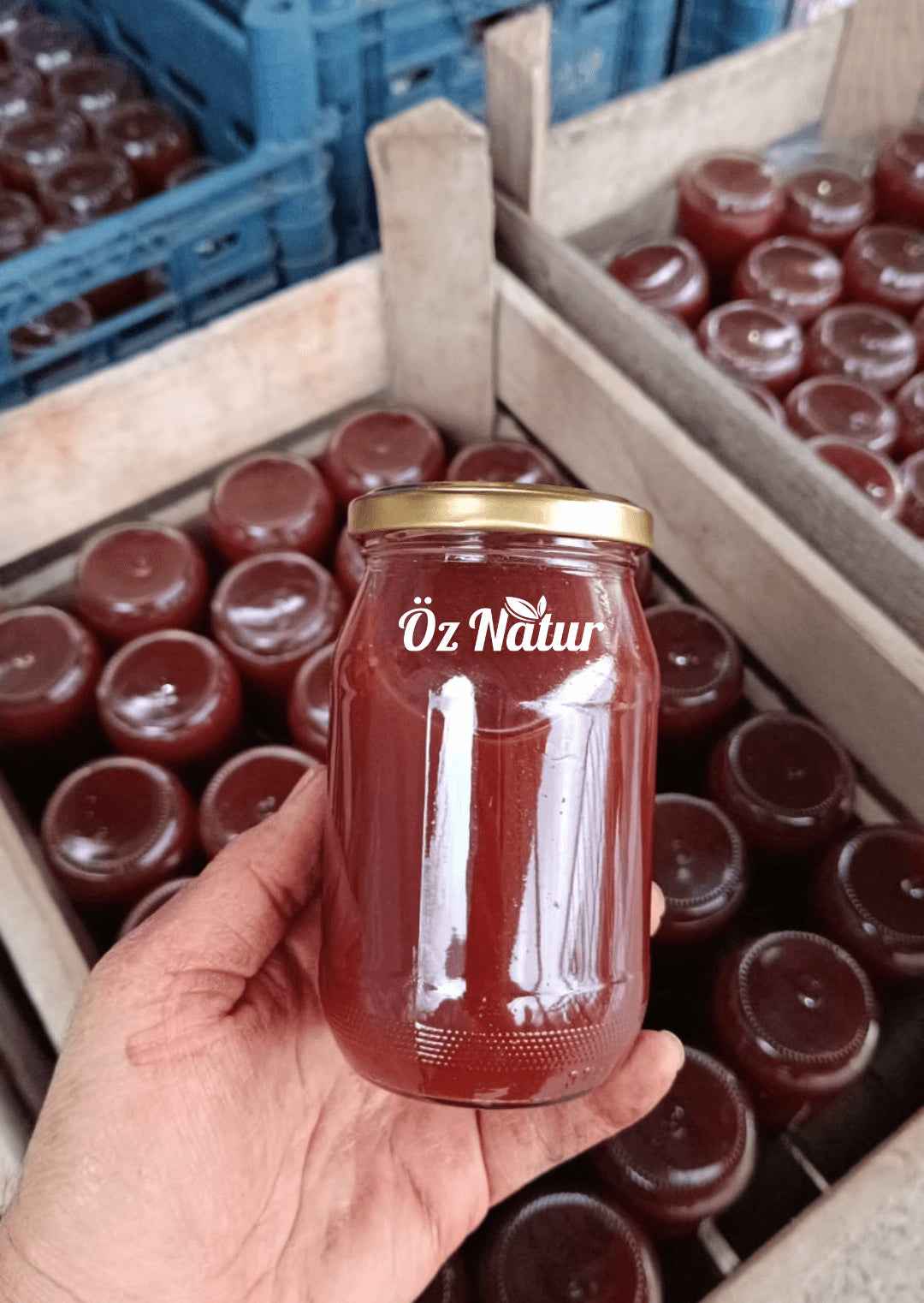 Tannenzapfen Sirup (Flüssig) (Kozalak Şurubu)