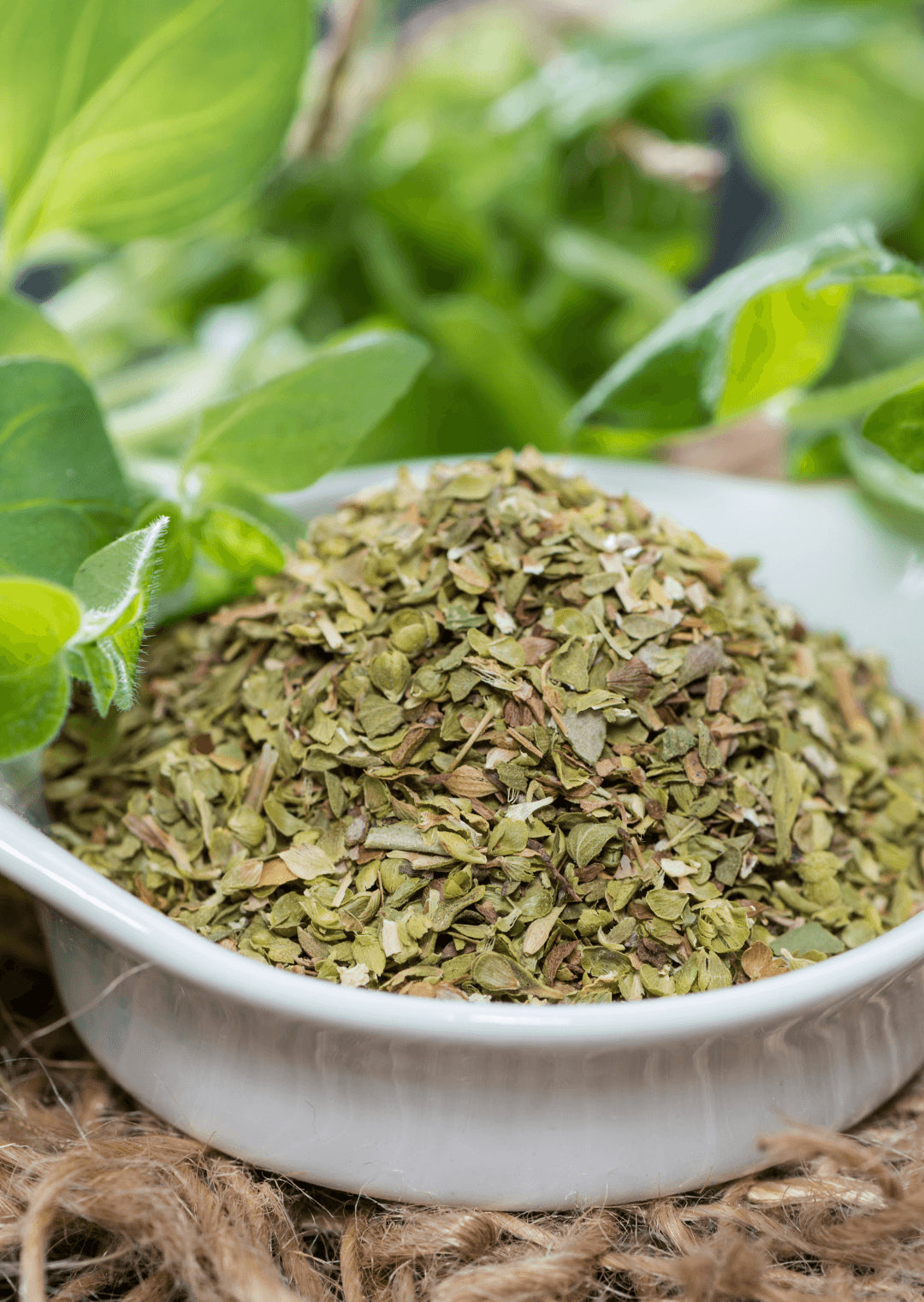 Thymian Getrocknet 50g