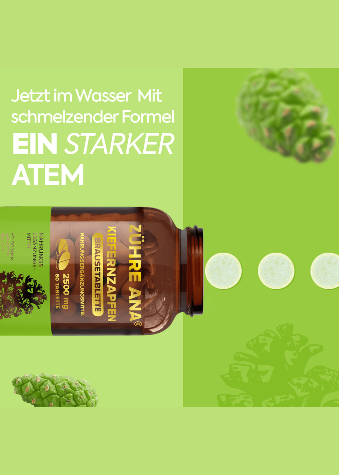 Zühre Ana Kiefernzapfen Brausetabletten (Servi-Kozalağı-Efferveszent) 2500 mg – 60 Tabletten