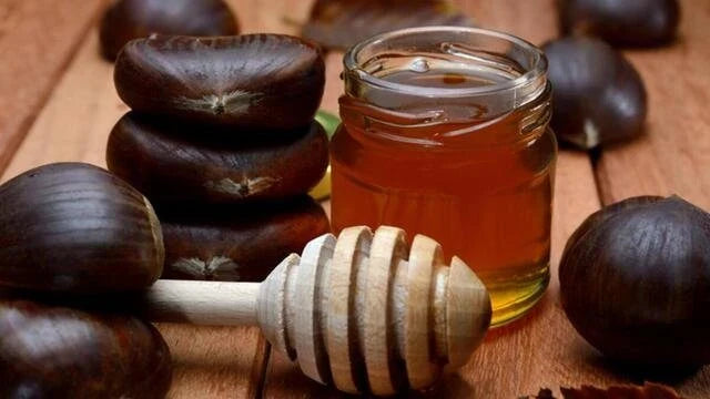 Kastanienhonig – Geschmack, Eigenschaften und Verwendung