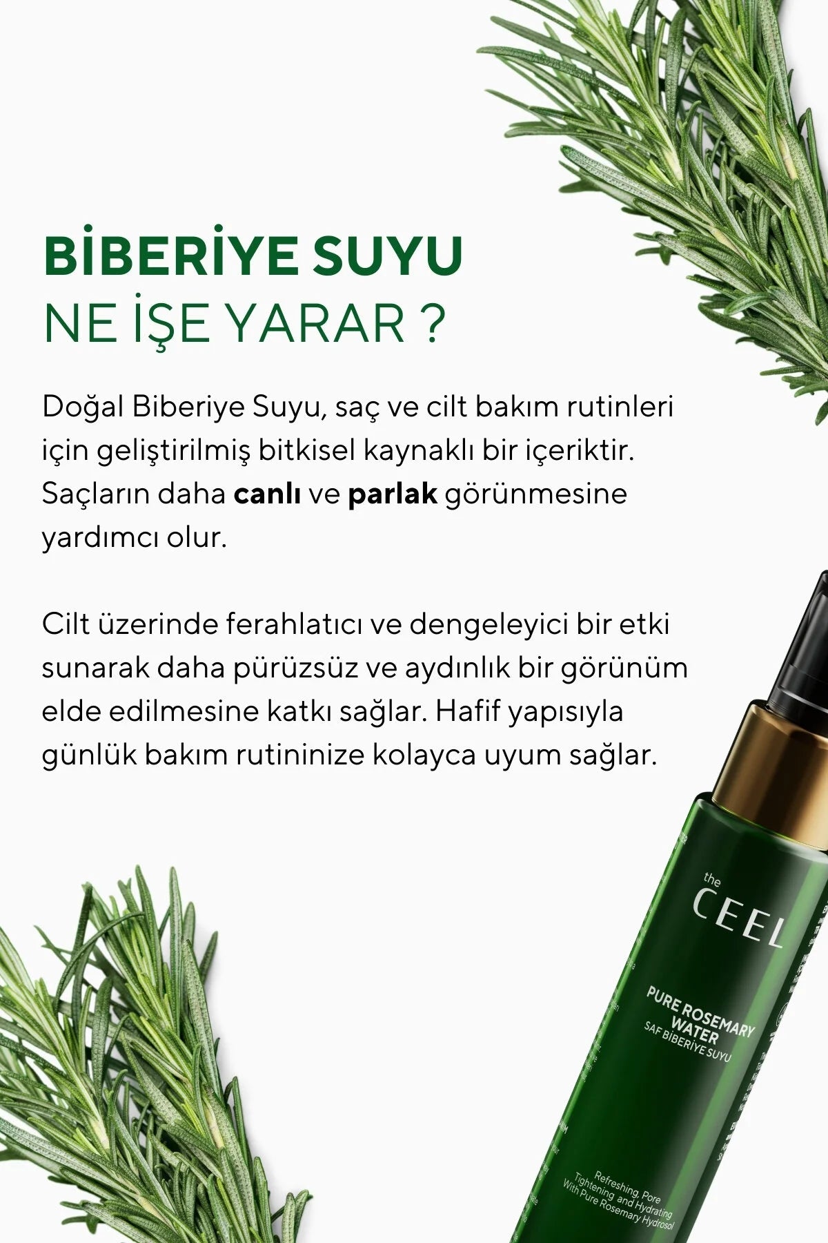 The Ceel Reines Rosmarinwasser – Haartonikum gegen Haarausfall