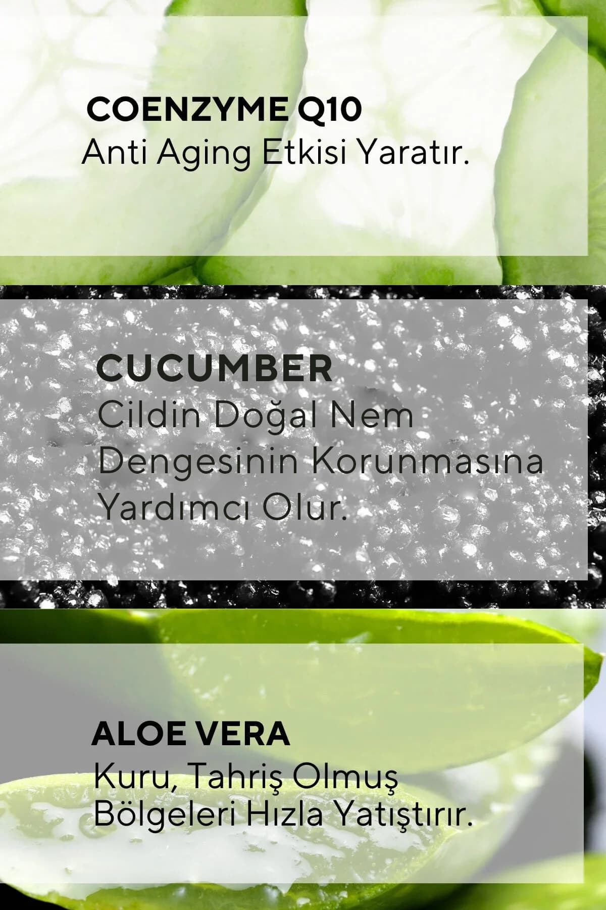 The Ceel Reinigendes und aufhellendes Gesichtspeeling mit Aloe-vera-Extrakt und Coenzym