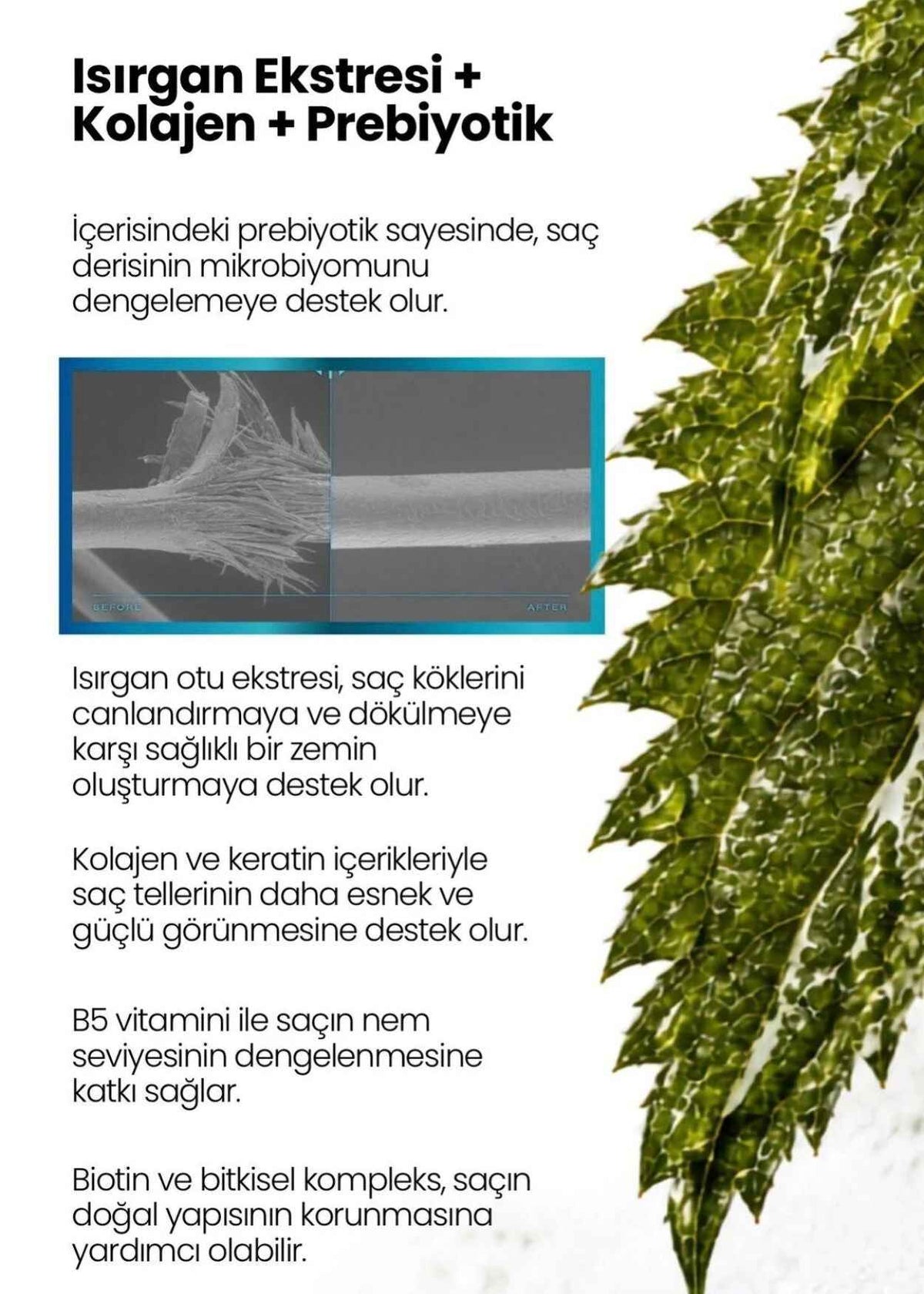 iCollagen Shampoo