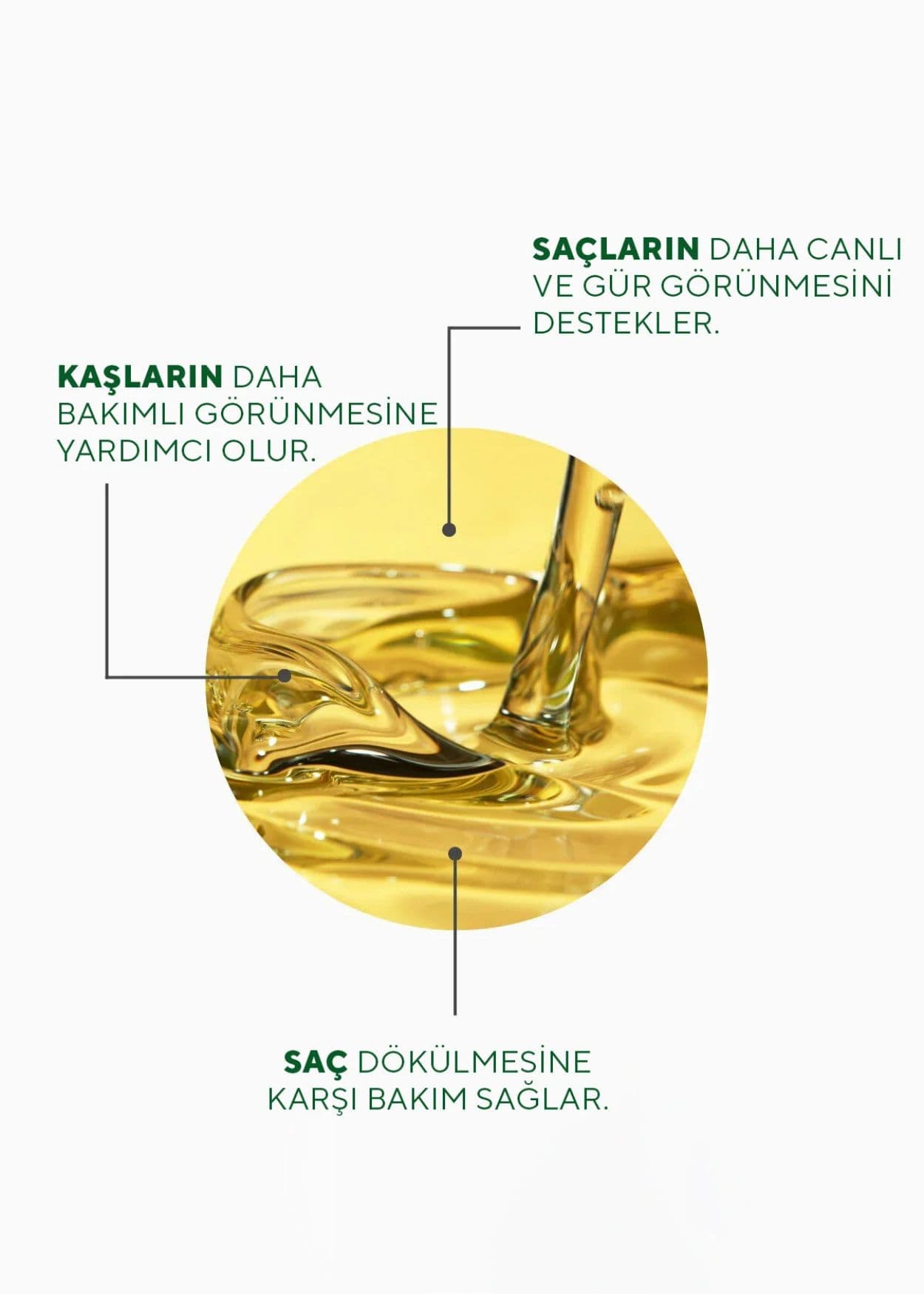 The Ceel Rosmarin Haarwachstumsöl