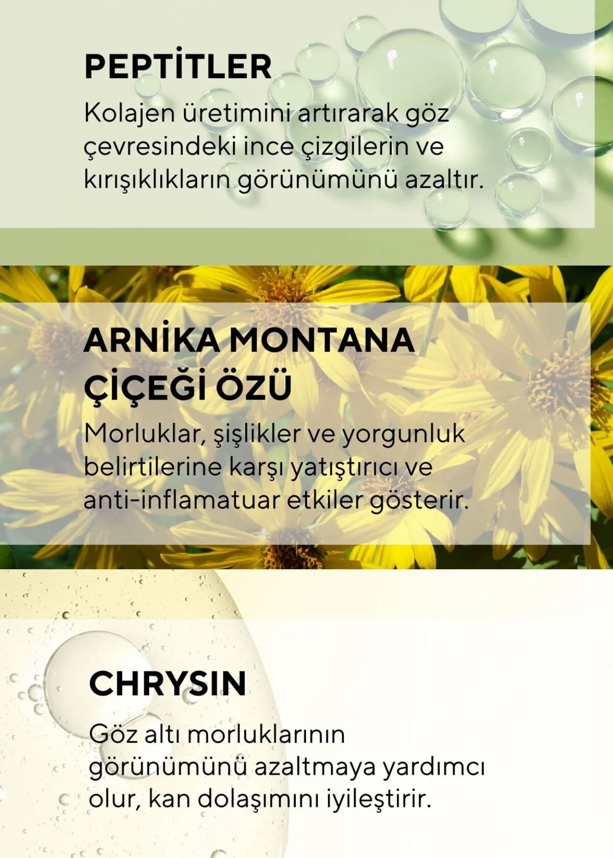 The Ceel Kühlende Augencreme mit Massage-Roll-on und Arnica-Montana-Extrakt gegen das Erscheinungsbild von Tränensäcken und Augenringen