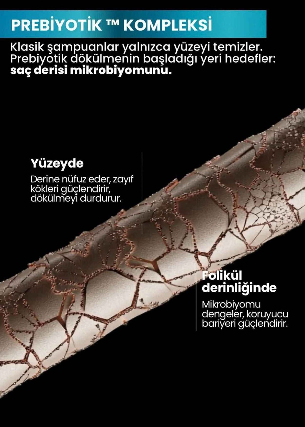 iCollagen Shampoo