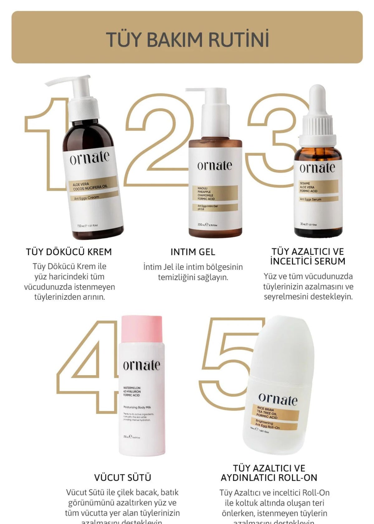 Ornate Ant Eggs Serum – Haarentfernungs-Pflege