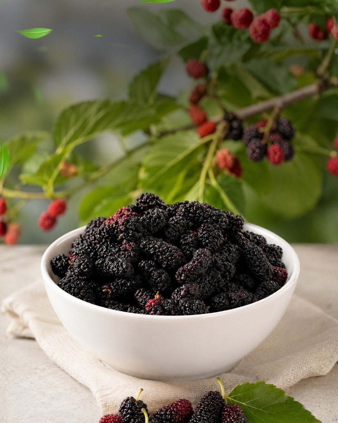 Getrocknete Schwarze Maulbeeren