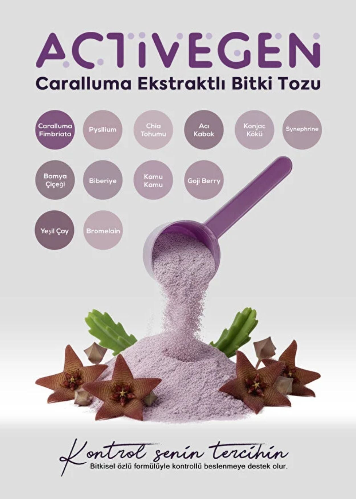 Activegen Caralluma Extrakt Pflanzenpulver