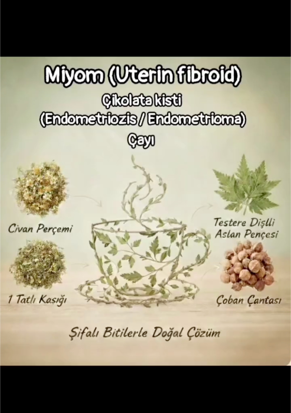 Gencer Seri Miyom/Çikolata kisti ve düzensiz Regl Çayı Karışımı