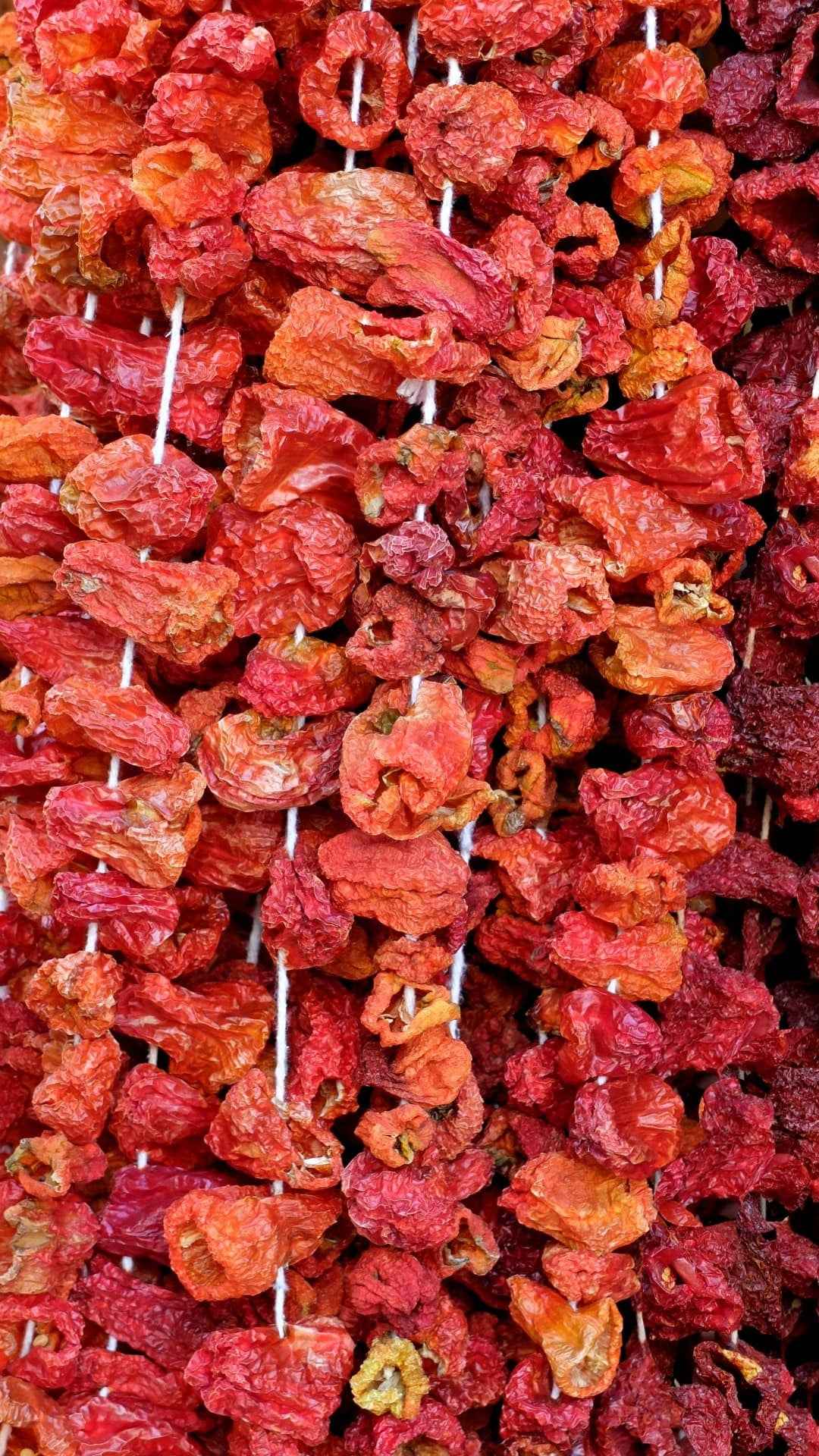Getrocknete Paprika aus Antep (45-50 Stück)