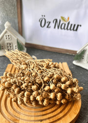 Harmalkraut (Üzerlik Otu) 1 Bund