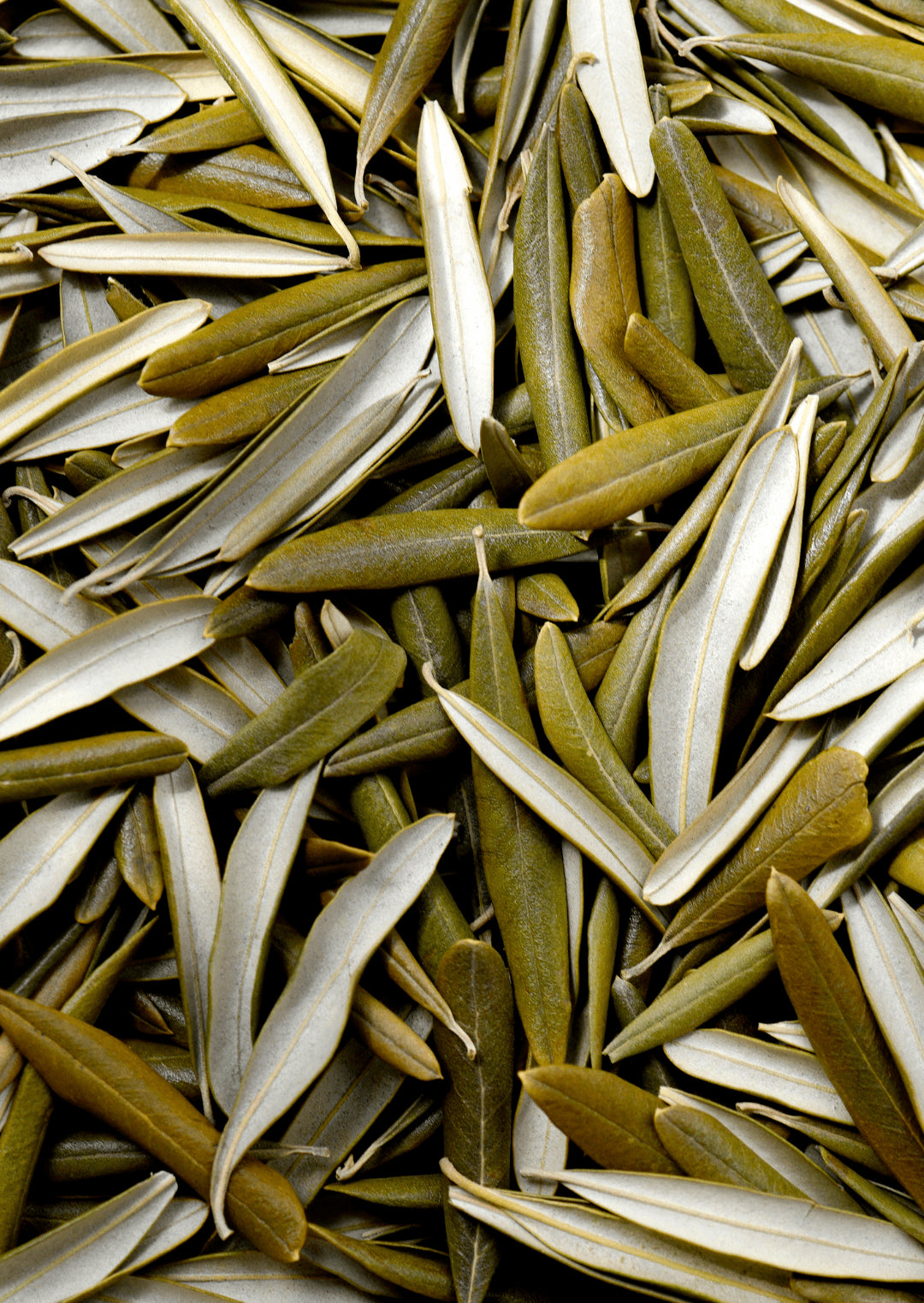 Olivenblätter 30gr