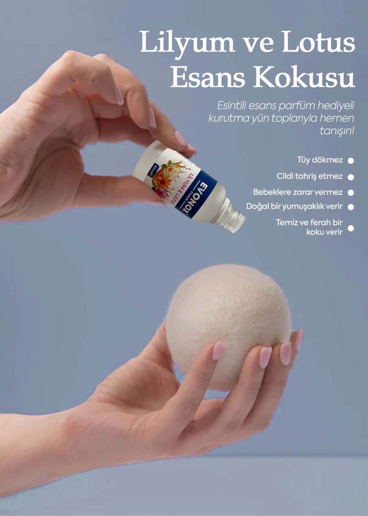 Evonox Clean Yün Kurutma Topu Esansı – Lilium Lotus